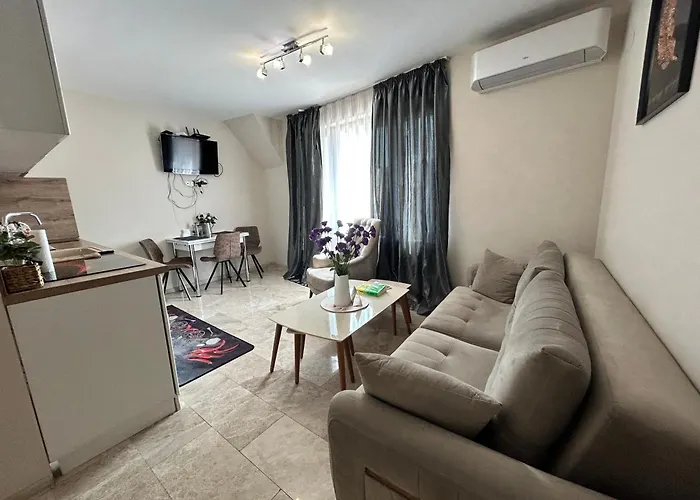 Old Town 3 With Free Private Parking 公寓 普罗夫迪夫